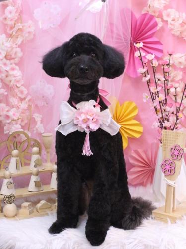 20250307アロちゃん